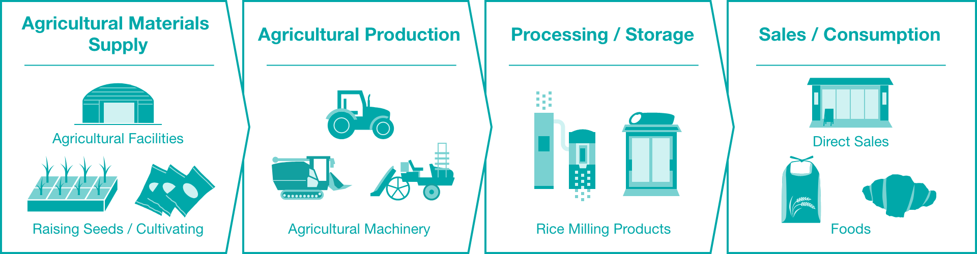 Agricultural Materials Supply - Agricultural Production - Processing / Storage - Sales / Consumption