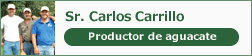 Sr. Carlos Carrillo
