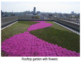 Rooftop garden