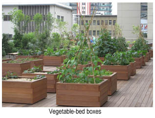 Vegetable-bed boxes