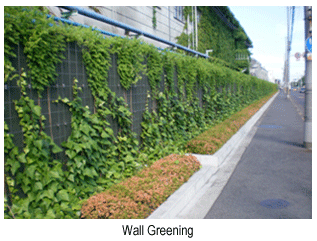 wall greening