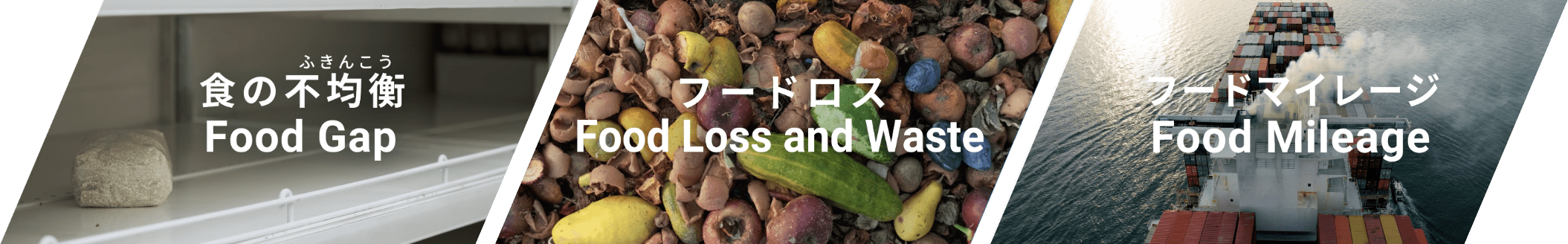 食の不均衡 Food Gap / フードロス Food Loss and Waste / フードマイレージ Food Mileage
