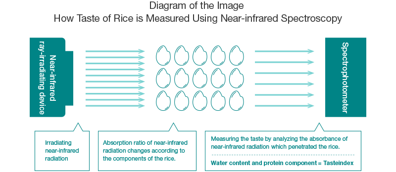 Diagram of the Image How Taste of Rice is Measured Using Near-infrared Spectroscopy