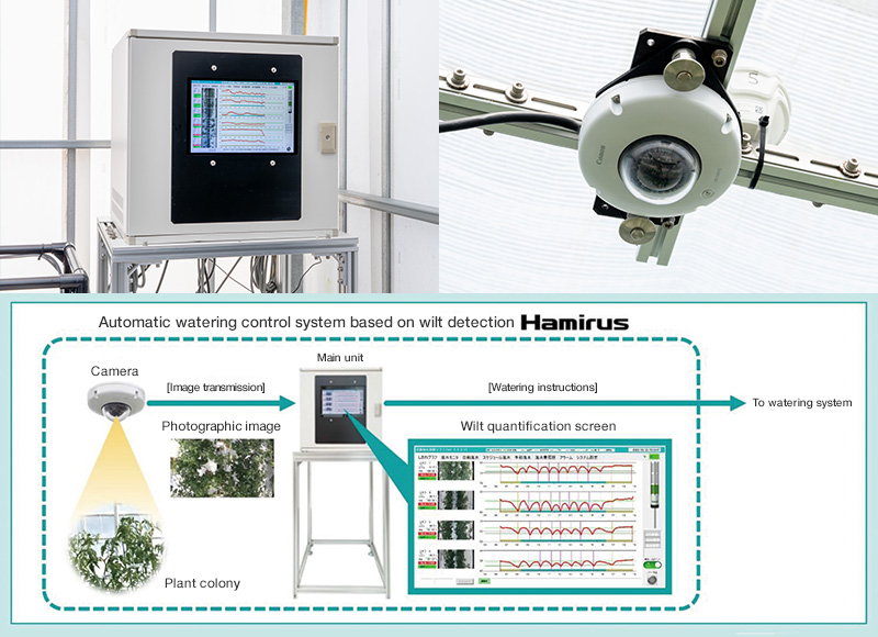 Overview of the automatic watering control system based on wilt detection (Hamirus)