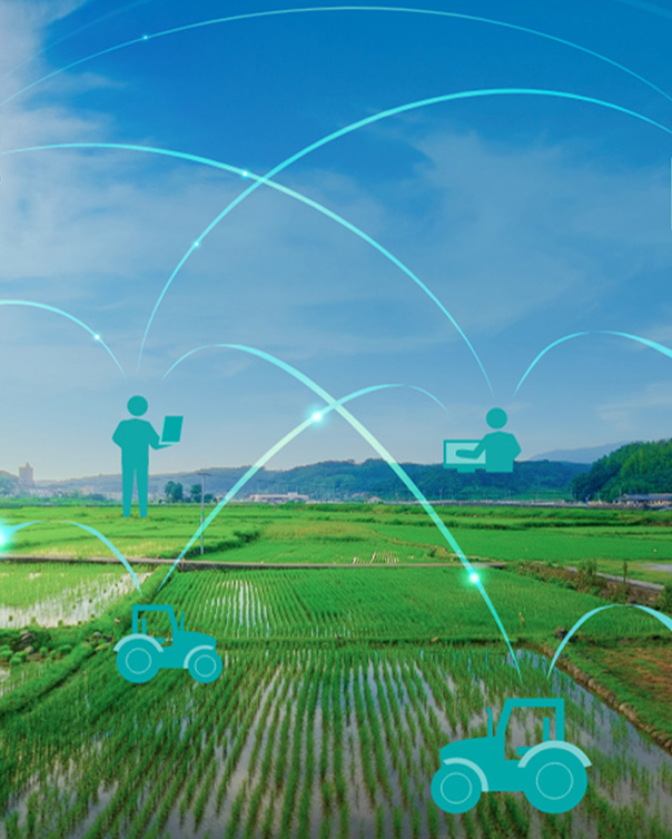 The New Value that 5G Brings through Advancements in Smart Agriculture