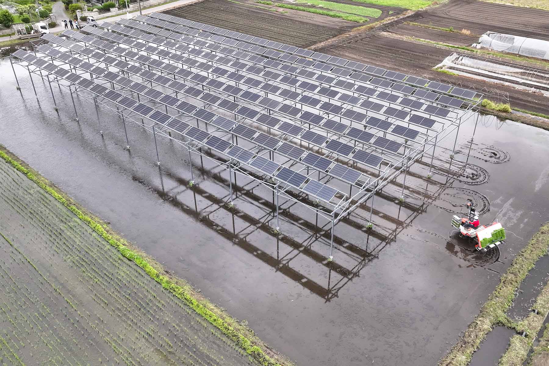 Aerial view of rice planting beneath an agrivoltaic installation.
