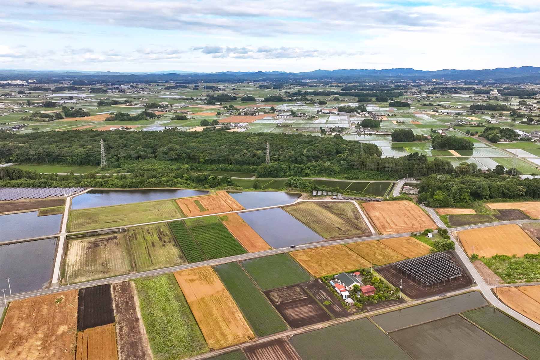 Aerial view of farmland.