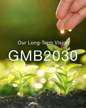 Our Long-Term Vision GMB2030