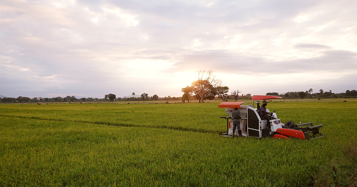 Empowering Africa Through Paddy Farming KUBOTA STORIES Kubota empowering-africa-through-paddy-farming-kubota-stories-kubota