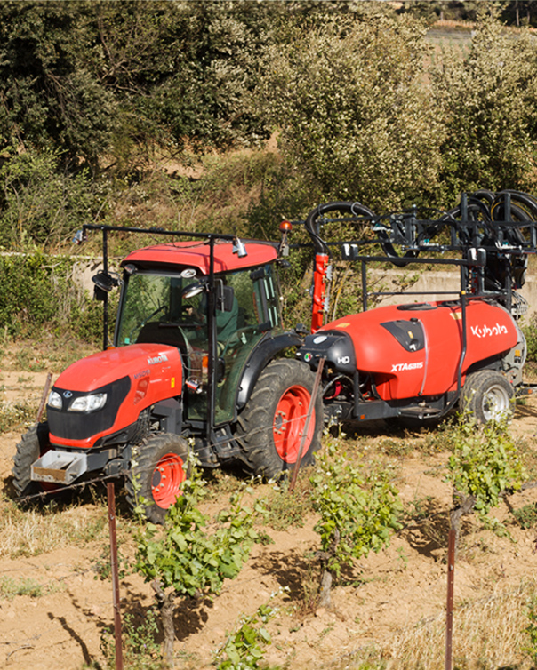 Optimizing Taste and Harvest