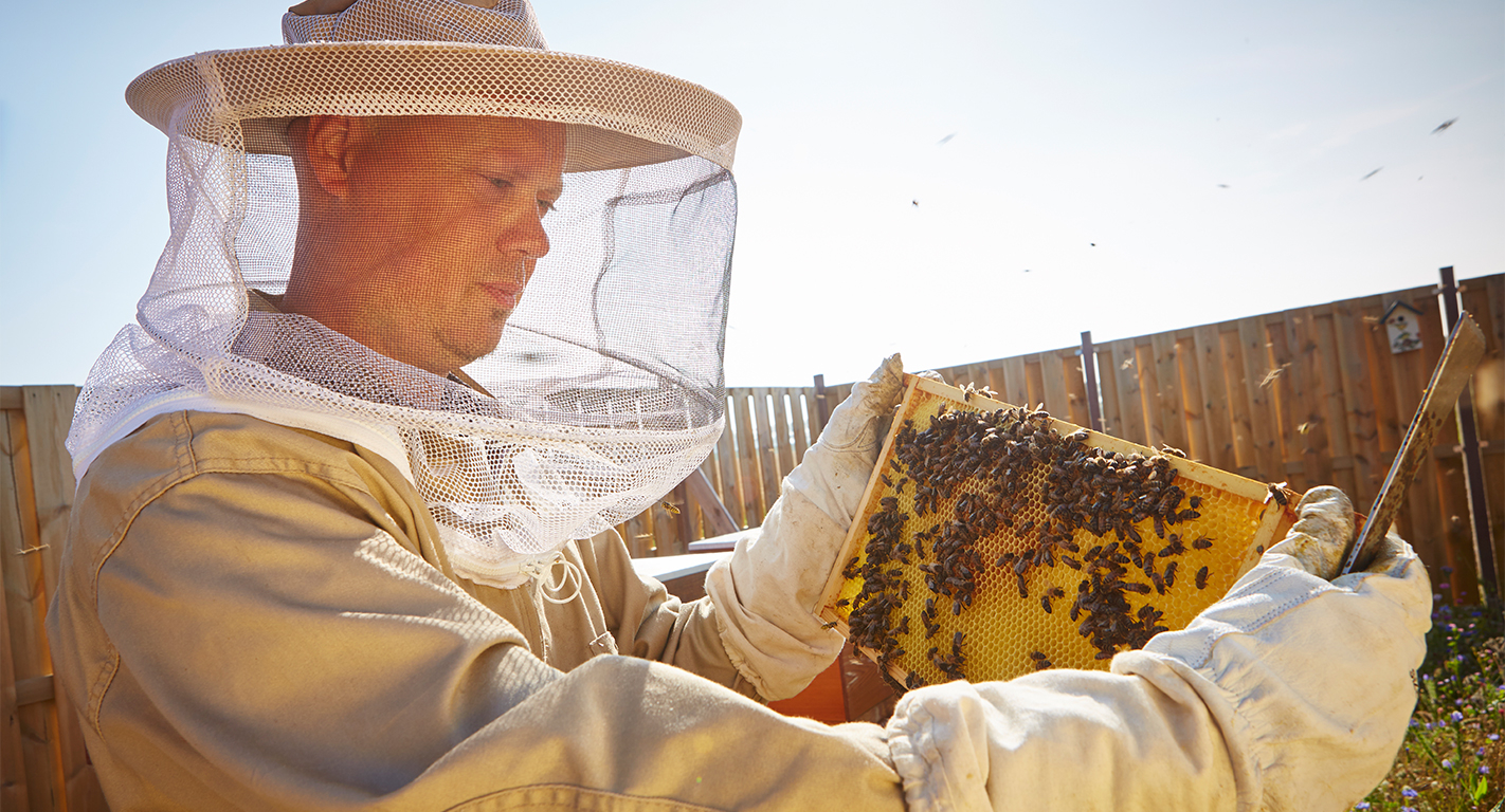 Beekeeper' Hackathon project sweetens cross-pollination of tech and  tradition - Stories